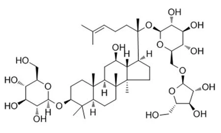 Radix Notoginseng Extract Radix Notoginseng Extract