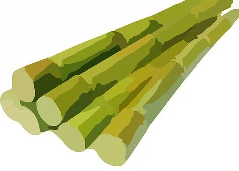 Sugarcane Extract Sugarcane Extract