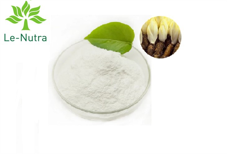 Chicory Root Extract Inulin Powder