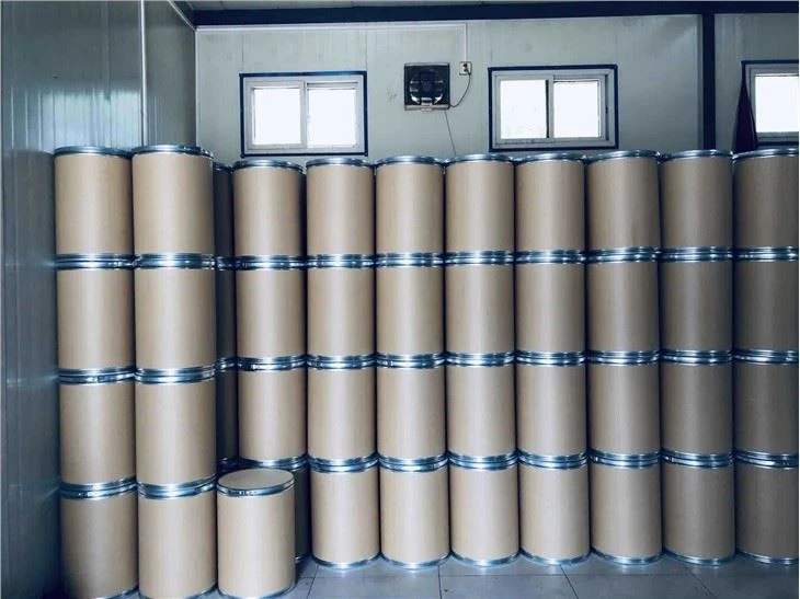 Cholesterin Powder
