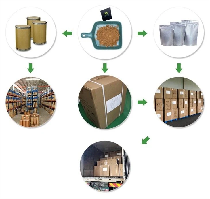 Green Coffee Bean Extract Powder Chlorogenic Acid