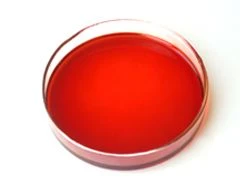 Antarctic Red Krill Oil